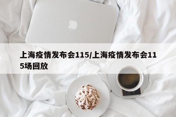 上海疫情发布会115/上海疫情发布会115场回放