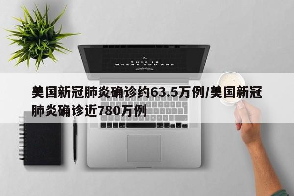 美国新冠肺炎确诊约63.5万例/美国新冠肺炎确诊近780万例