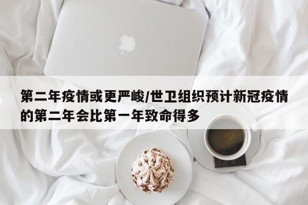 第二年疫情或更严峻/世卫组织预计新冠疫情的第二年会比第一年致命得多