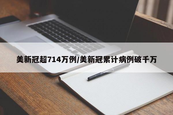 美新冠超714万例/美新冠累计病例破千万